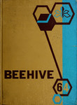 Beehive 1964 by Darlene Jurkowski