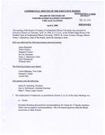 2006.04.06 - Executive Committee Meeting Minutes