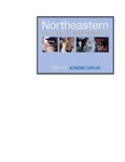 Northeastern Illinois University, 2006-2007 Academic Catalog by Northeastern Illinois University