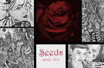 SEEDS - 2014 by Stacie Polk