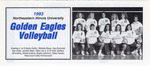 NEIU Volleyball Media Guide - 1995 by Athletics Department Staff